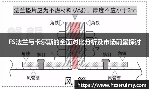 FS法兰与卡尔斯的全面对比分析及市场前景探讨