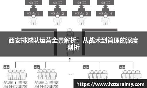西安排球队运营全景解析：从战术到管理的深度剖析